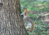 OTT_0050.jpg